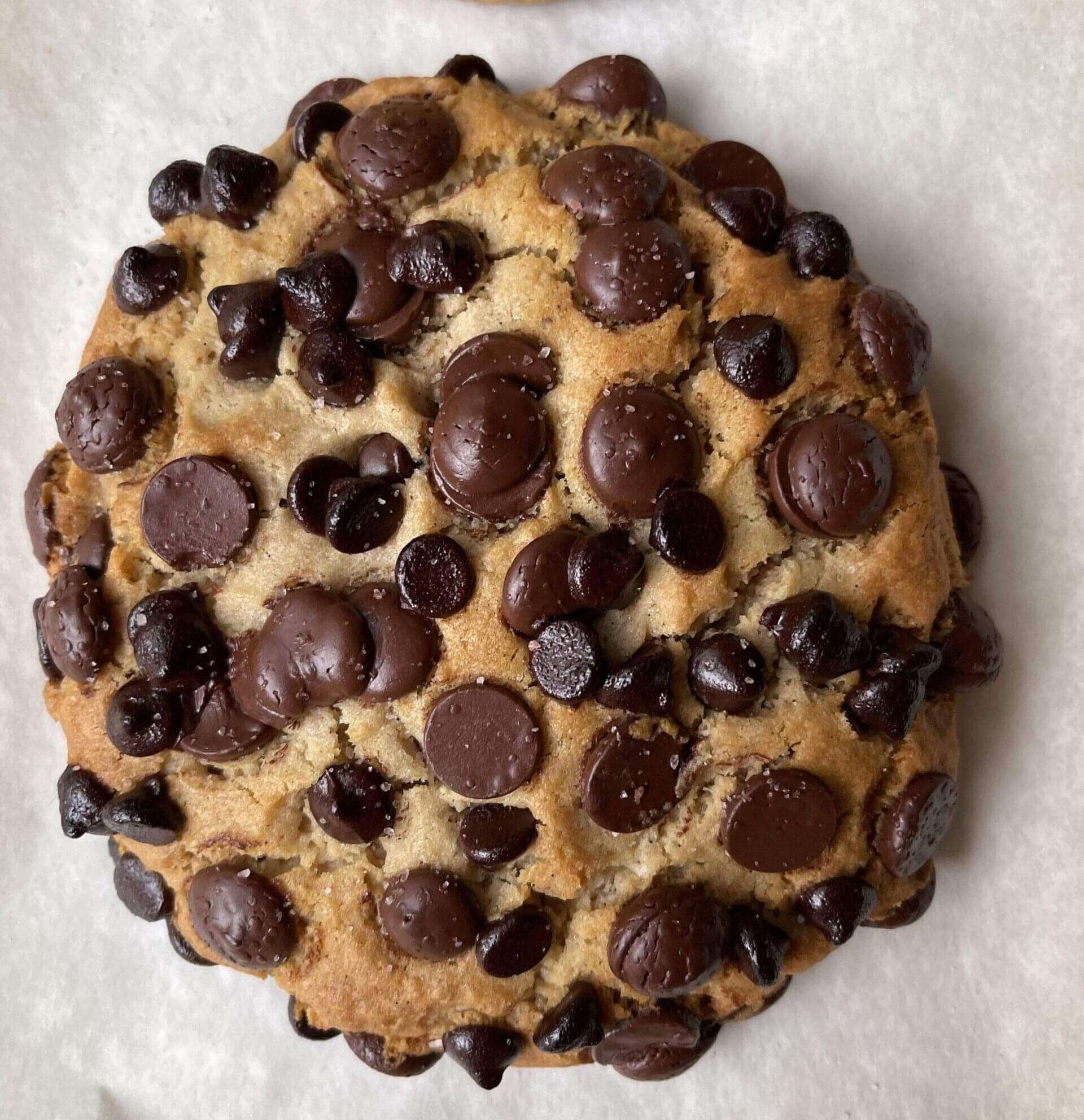 Soft Baked Chocolate Chip Cookies, Gluten-free, Allergy-Friendly